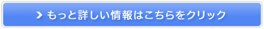 ʉؓ̋ɂՂ̔TCg